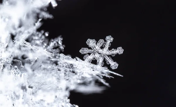 Macro Real Snowflakes Beautiful Winter Background — 스톡 사진