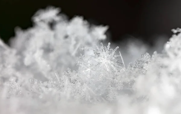 Close Zicht Sneeuwvlokken Winter Achtergrond — Stockfoto