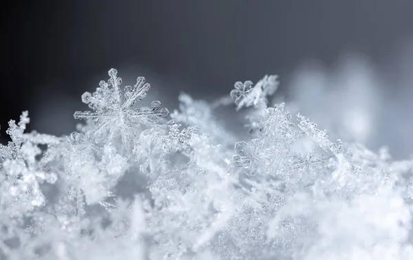 Vista Cerca Los Copos Nieve Fondo Invierno —  Fotos de Stock