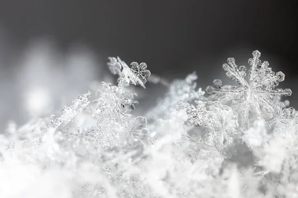Closeup Άποψη Του Νιφάδες Χιονιού Φόντο Χειμώνα — Φωτογραφία Αρχείου