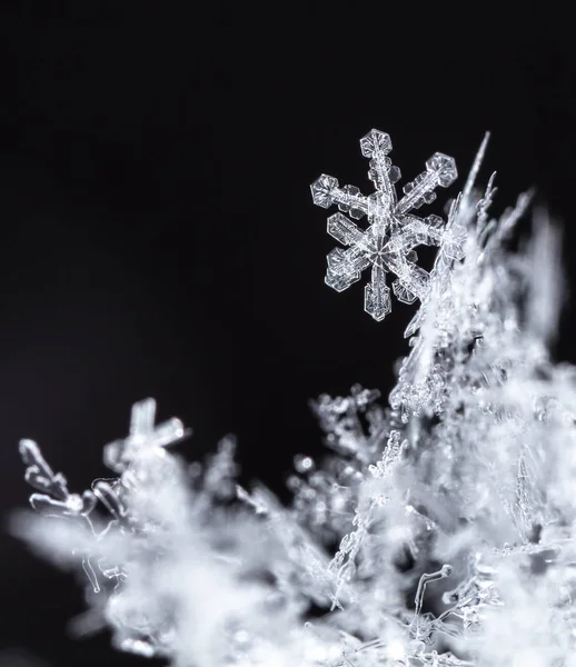 雪景色 冬の背景 — ストック写真