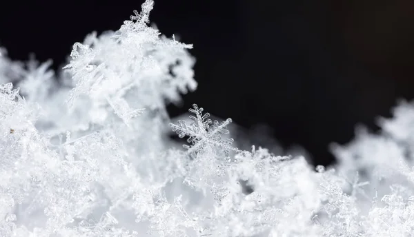 Κρύσταλλοι Από Χιόνι Κάλυψη Μακροεντολή Αφηρημένο Φόντο Χειμώνα — Φωτογραφία Αρχείου