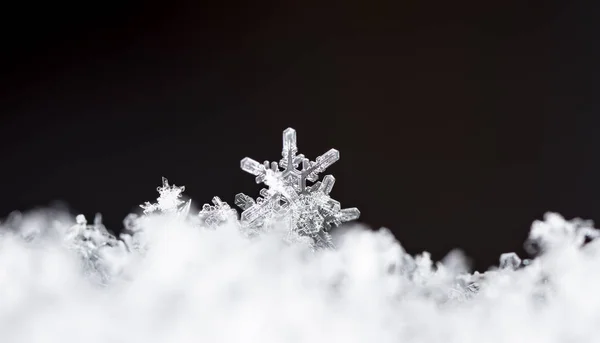 Cristalli Copertura Nevosa Macro Astratto Sfondo Invernale — Foto Stock