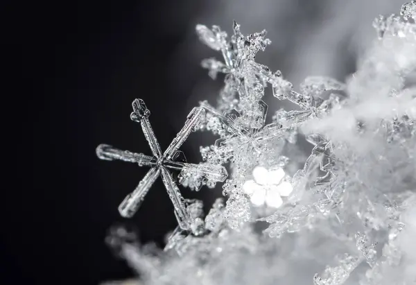 暗い背景での雪片のマクロ撮影 — ストック写真