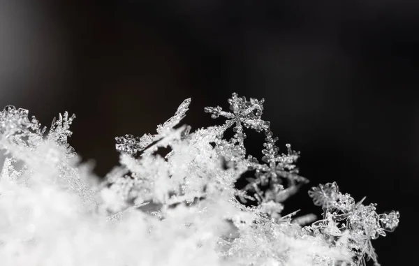 Κοντινή Προβολή Του Λευκού Κρυστάλλου Νιφάδες Χιονιού Μαύρο Φόντο — Φωτογραφία Αρχείου