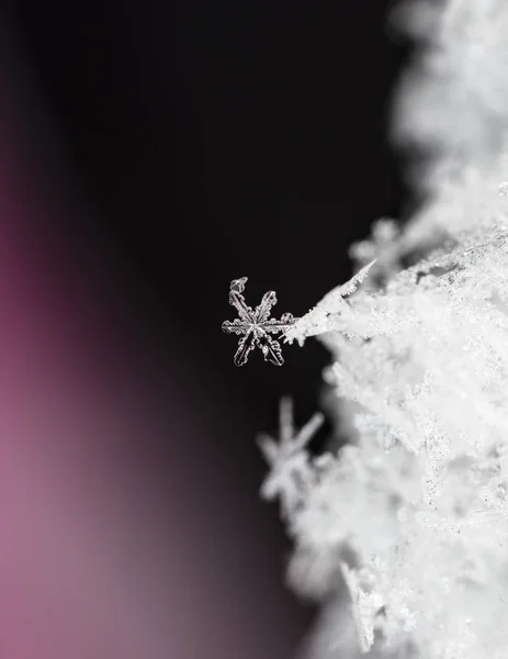 Zbliżenie Widok Biały Kryształ Płatki Śniegu Czarnym Tle — Zdjęcie stockowe