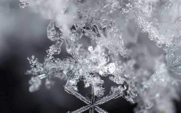 黒の背景に白い結晶の雪片が見えます — ストック写真