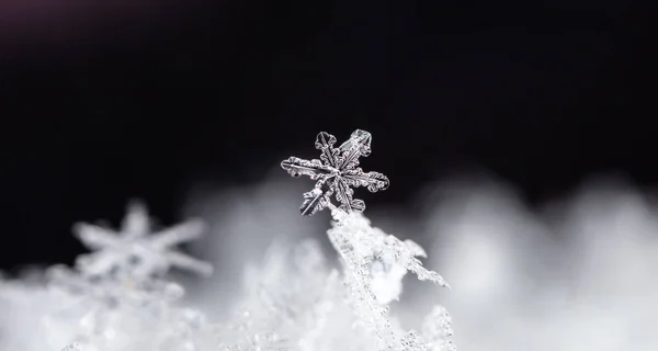 Closeup View White Crystal Snowflakes Black Background — 스톡 사진