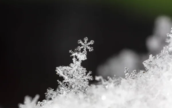 Closeup View White Crystal Snowflakes Black Background — 스톡 사진