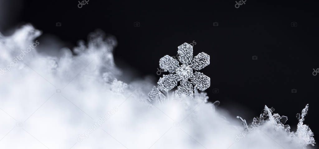 closeup view of white crystal snowflakes on black background