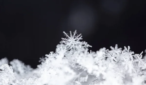 Close Weergave Van Witte Kristallen Sneeuwvlokken Zwarte Achtergrond — Stockfoto