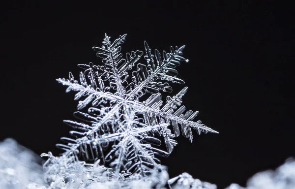 Siyah zemin üzerinde beyaz kristal kar tanelerinin yakın görüntüsü