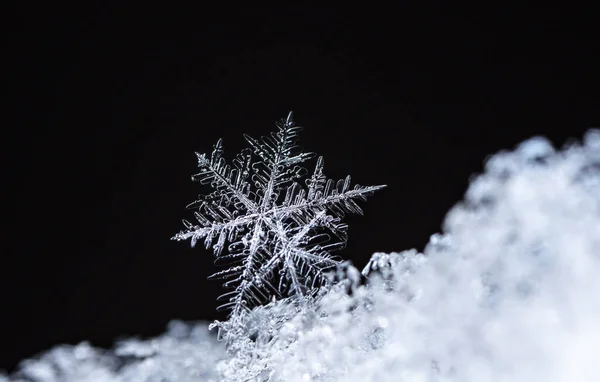 Closeup View White Crystal Snowflakes Black Background — 스톡 사진