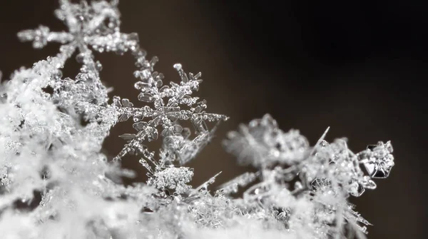 黒の背景に白い結晶の雪片が見えます — ストック写真