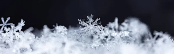 Closeup View White Crystal Snowflakes Black Background — 스톡 사진