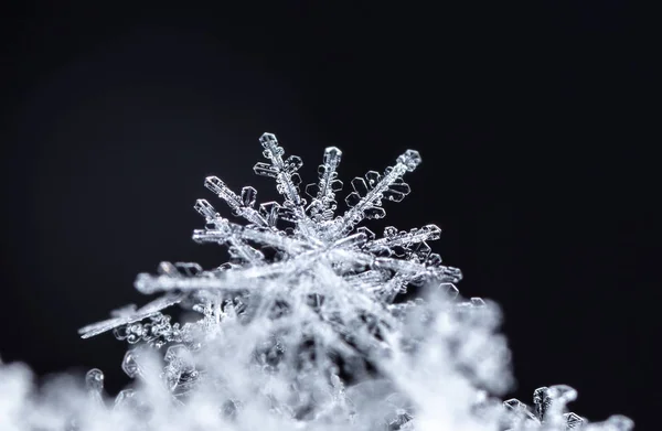 黒の背景に白い結晶の雪片が見えます — ストック写真