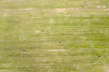 çiftlik alanı, yukarıdan görünüm