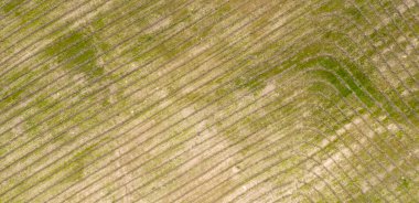 çiftlik alanı, yukarıdan görünüm