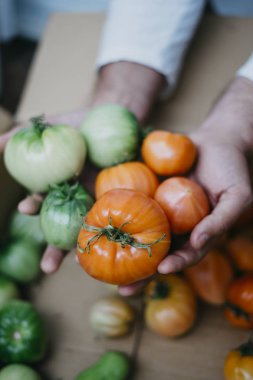 Çiftçi homegrown domates ile