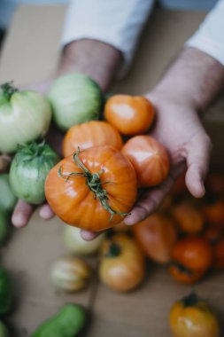 Çiftçi homegrown domates ile