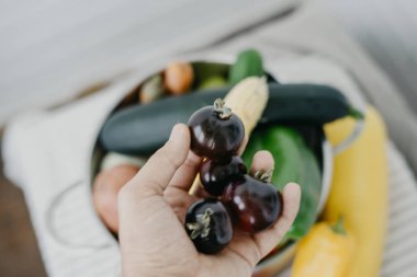 Vegan adam elinde siyah domates