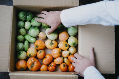 Çiftçi homegrown domates ile