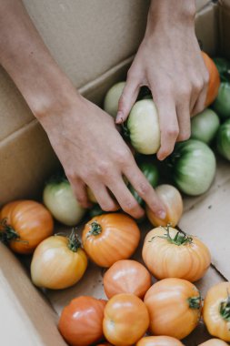 Çiftçi homegrown domates ile