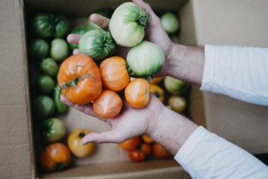 Çiftçi homegrown domates ile