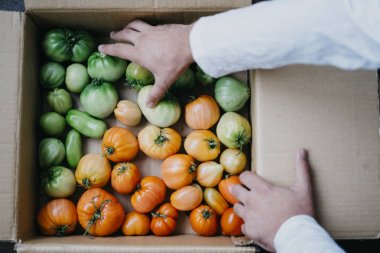 Çiftçi homegrown domates ile