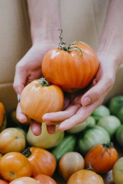 Çiftçi homegrown domates ile