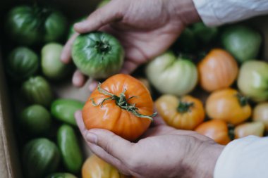 Çiftçi homegrown domates ile