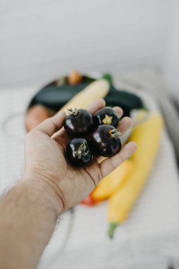 Vegan adam elinde siyah domates