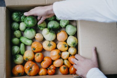 Çiftçi homegrown domates ile