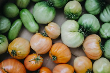 Homegrown domates yeşil ve kırmızı