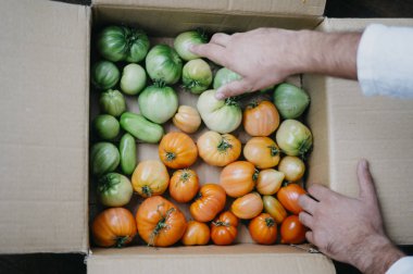 Çiftçi homegrown domates ile