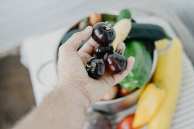 Vegan adam elinde siyah domates