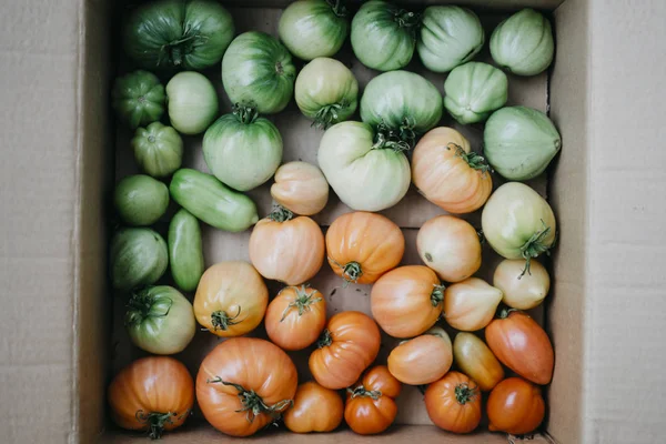 Homegrown domates yeşil ve kırmızı