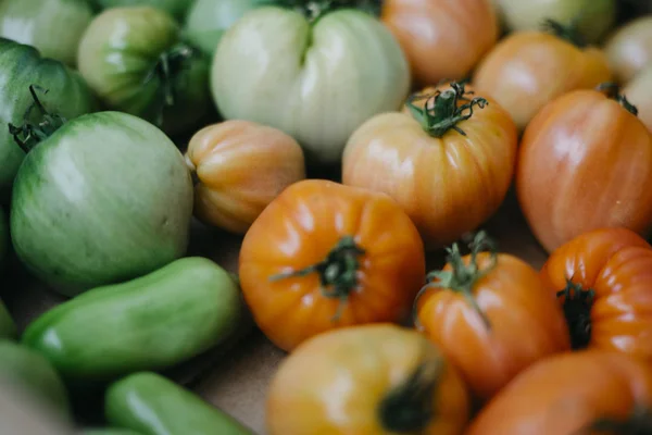 Tomates verdes e vermelhos caseiros — Fotografia de Stock