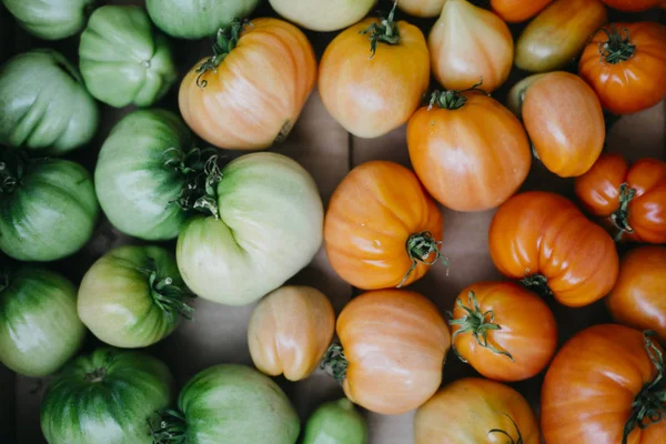 Homegrown domates yeşil ve kırmızı