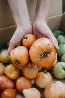 Çiftçi homegrown domates ile