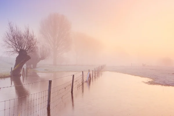 Bir nehir, nehir Lek, Hollanda boyunca sisli gündoğumu — Stok fotoğraf