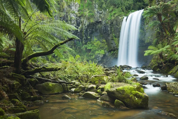 Regenwoud watervallen, Hopetoun Falls, Great Otway Np, Victoria, Australië — Stockfoto