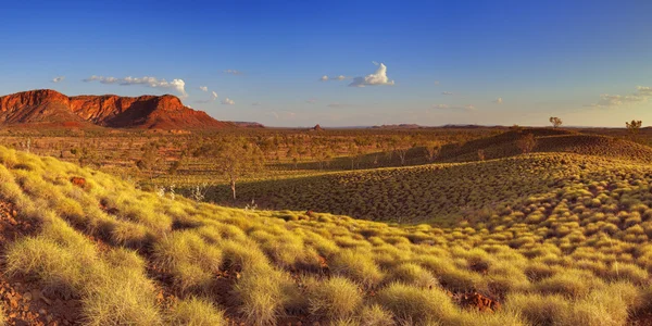Paisaje australiano en el Parque Nacional de Purnululu, Australia Occidental — Foto de Stock