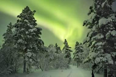 Aurora borealis kış manzara, Fin Lapland bir yol üzerinde