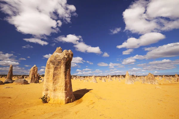 Na pustyni szczyty w Nambung National Park, Australia Zachodnia — Zdjęcie stockowe