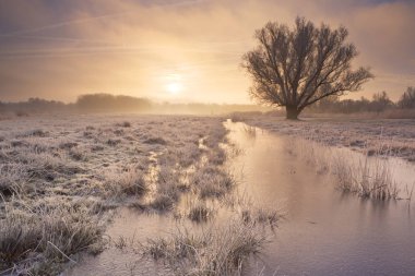 Sunrise üzerinden Hollanda'da donmuş bir manzara