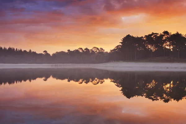 Reflections of sunrise at a quiet lake, Henschotermeer, Países Baixos — Fotografia de Stock