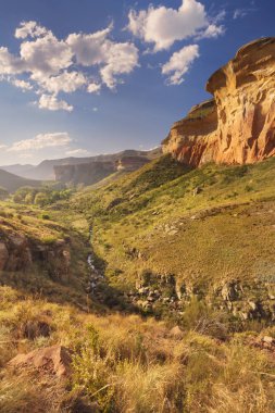 Altın güneş ışığı üzerinde Golden Gate Highlands Np, Güney Afrika