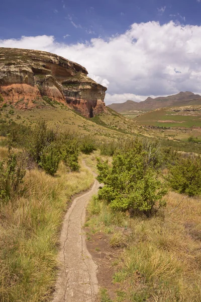 Camino a través de la Puerta Dorada Highlands NP en Sudáfrica — Foto de Stock