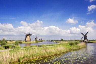 Doğal güneşli bir günde geleneksel Hollanda yel değirmenleri